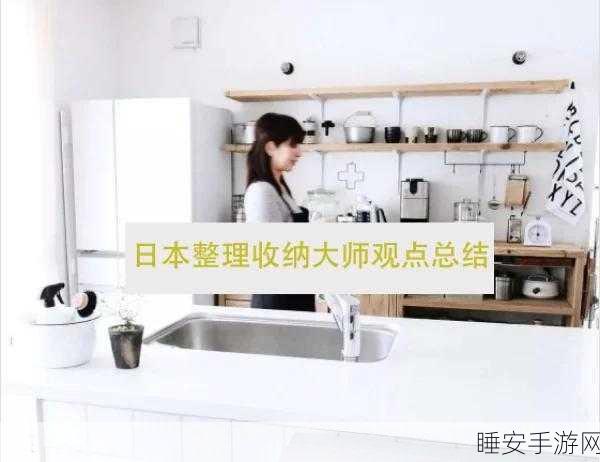 清洁整理大师来袭!趣味闯关挑战你的收纳极限