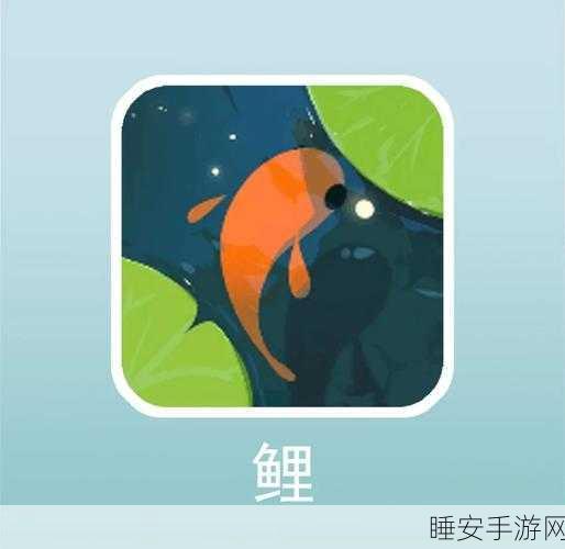 唯美休闲新体验,超级星鱼冒险之旅等你来探索