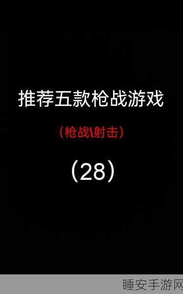 战火勋章中文版震撼来袭,枪战射击与角色扮演的完美融合