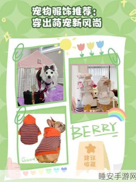 萌宠服装店大冒险,Q版小动物经营挑战,打造时尚潮流新风尚!