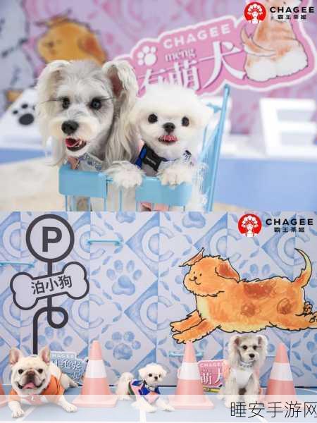 萌宠服装店大冒险,Q版小动物经营挑战,打造时尚潮流新风尚!