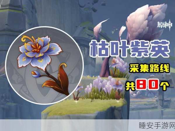 原神，枯叶紫英的全部神秘获取地点大揭秘