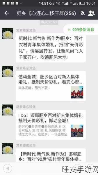 休闲闯关新风尚,彩礼大挑战游戏玩法深度解析