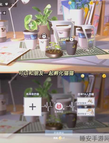 猫咪女友,萌宠养成新体验,打造专属小猫手游现已上线