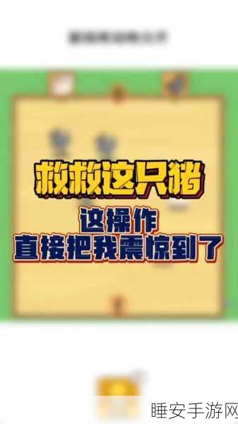 火爆全网!救救这只猪小游戏攻略及下载指南