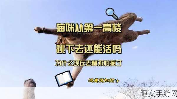猫咪大厦,点击爆破,休闲消除新挑战,闯关乐趣无限!