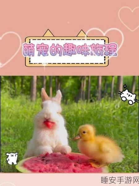 我的超级史莱姆宠物火爆上线!萌宠养成,趣味挑战等你探索!