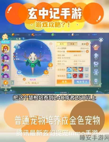 玄中记官服盛大开启,奇幻MMORPG冒险之旅,探索未知世界的战斗盛宴