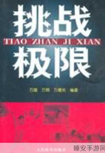 守护灵,精彩闯关之旅,挑战你的极限操作!