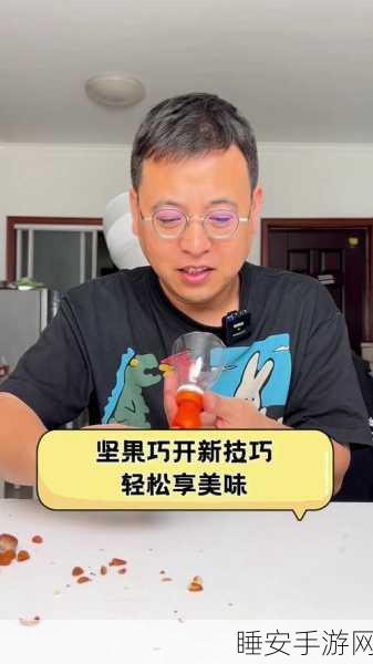坚果派对手机版震撼上线,趣味休闲益智新体验,挑战你的脑力极限!
