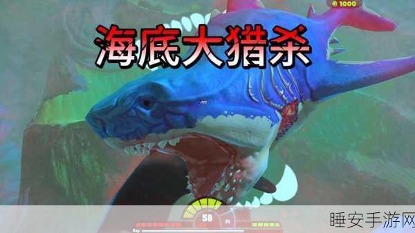 海底召唤神龙,休闲益智新挑战,解锁神秘海域的冒险之旅