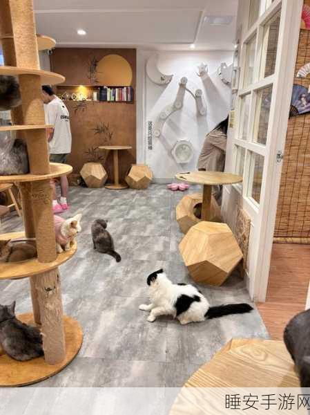 猫咪公园,打造你的梦幻萌宠乐园,模拟经营新体验!