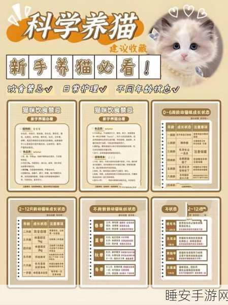 萌宠治愈新选择,猫咪小舍休闲益智手游深度解析