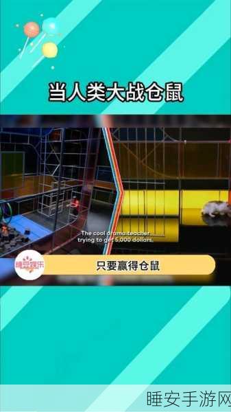 萌动挑战,乐趣无限,双轮仓鼠可爱闯关游戏全解析