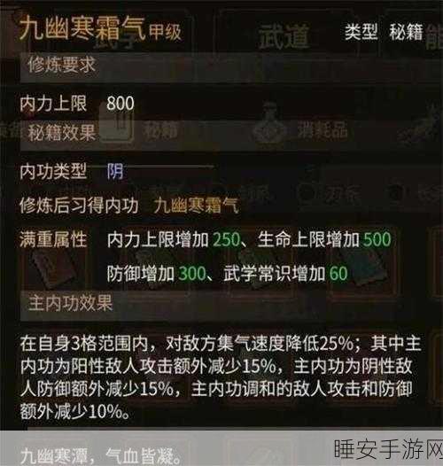 大侠立志传,勇夺天下第一的终极攻略秘籍