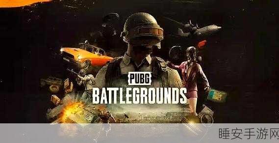 精致3D射击盛宴,PUBG正版国际服下载全攻略