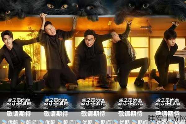盒子里的猫安卓版正式上线!挑战你的益智休闲极限