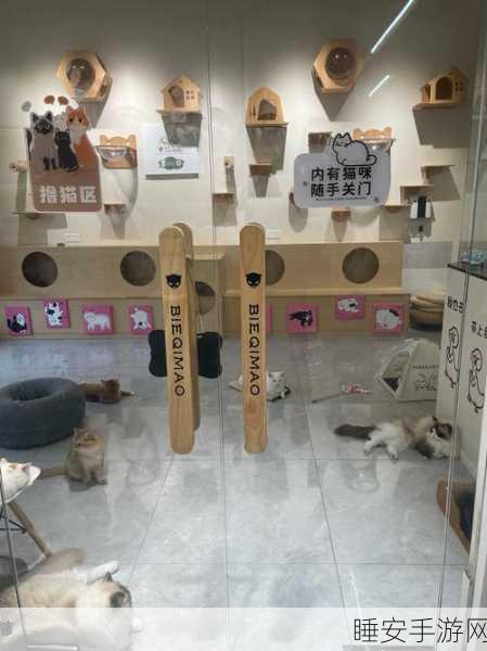 猫咪屋台安卓版正式上线,萌宠养成新体验,打造专属喵星人乐园
