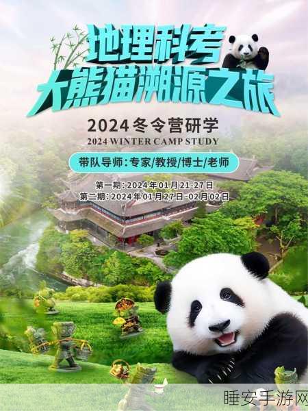 熊猫爱旅行,趣味休闲经营模拟,踏上奇妙旅程!