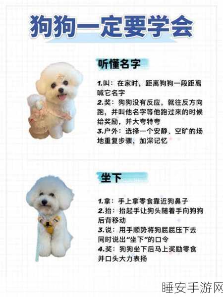 萌宠消除新体验,汪星人出击休闲消除游戏全解析