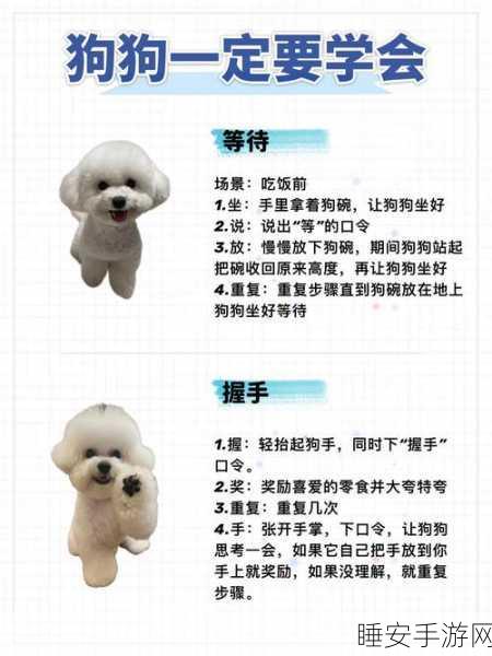 萌宠消除新体验,汪星人出击休闲消除游戏全解析