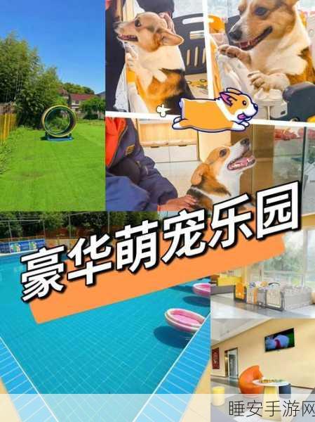 萌宠治愈系新游上线,我的城市宠物医院——小朋友的休闲乐园