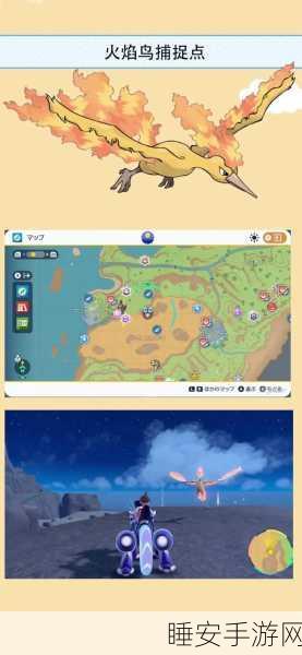 宝可梦朱紫,探寻神秘精神场地的准确位置