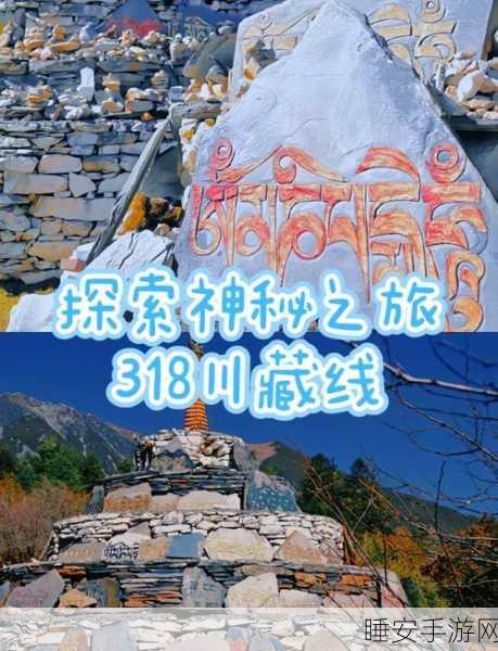 探秘忘仙魂石获取地，开启神秘之旅