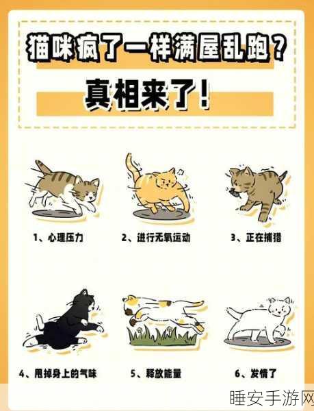 萌宠竞速新体验,猫咪奔跑,凯蒂冲刺手游深度解析