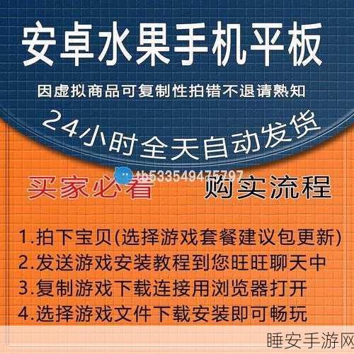 豪华游轮经营梦,豪华大游轮物语下载指南与深度评测