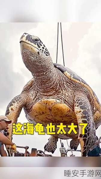 海龟深海探险，挑战无尽降落的冒险之旅