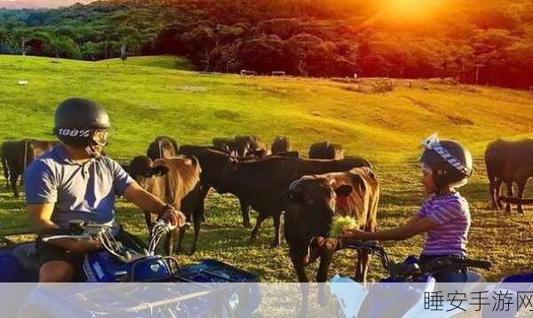 放牛大作战,牧场风云,休闲竞技新体验