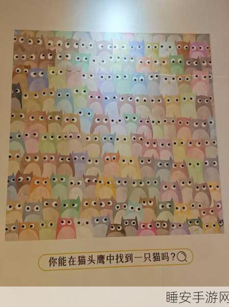 趣味休闲新选择，探索找茬大师手机版，挑战你的观察力极限