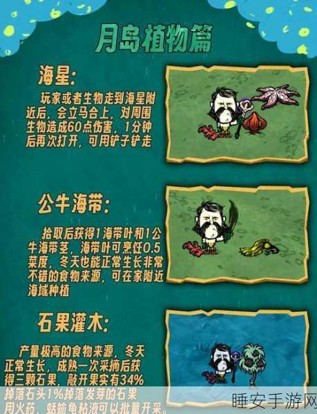 荒岛求生大挑战,饥荒岛挑战游戏深度解析与生存技巧