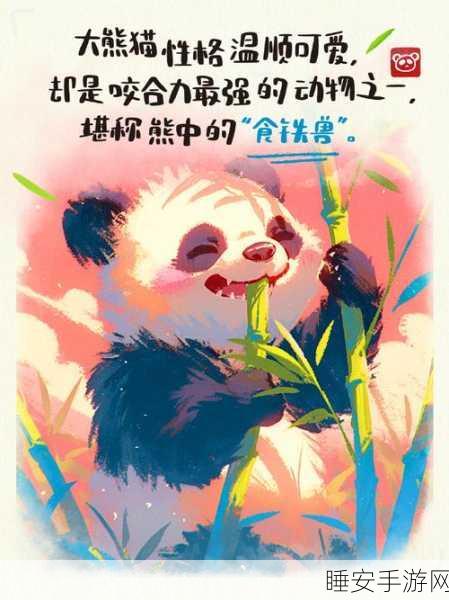 熊猫逆袭,告别饲养员,卡通休闲解谜新游火爆上线!