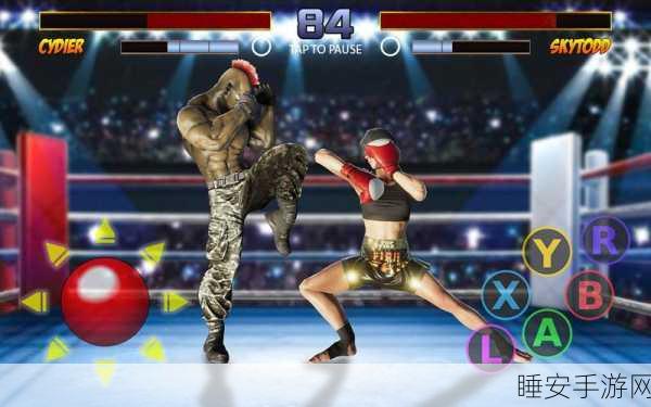Big Fighting Game游戏下载-非常好玩的3D格斗游戏