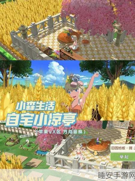 小森生活攻略,解锁粗盐获取秘籍,打造完美田园生活