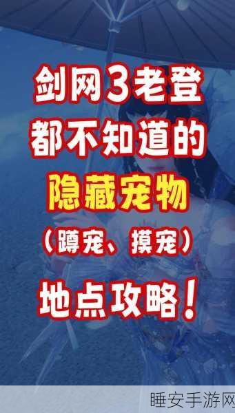 剑网3解心语宠物奇遇深度攻略,揭秘稀有萌宠捕获全路径