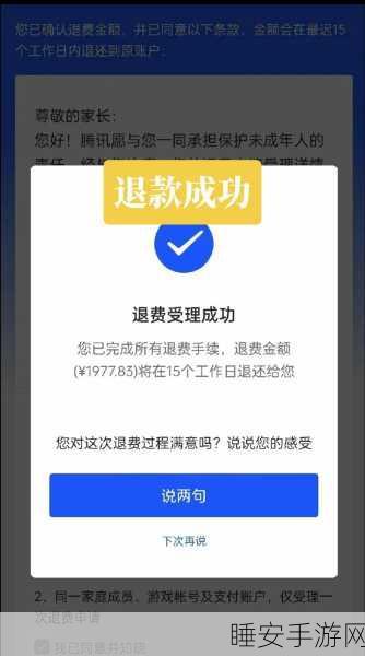 王者荣耀全额退款秘籍,深度解析退款流程与成功要素