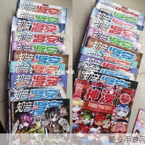 轻松应对!动漫之家无法登录的完美解决方案