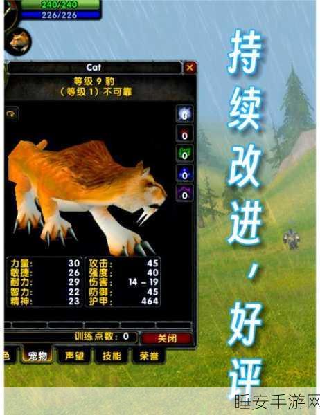 魔兽世界乌龟服深度攻略,骑士输出手法揭秘,登顶DPS巅峰之战