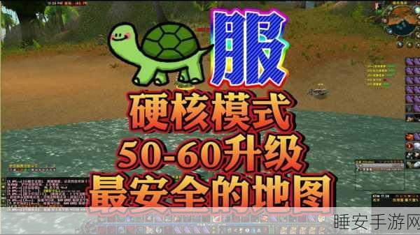 魔兽世界乌龟服深度攻略,骑士输出手法揭秘,登顶DPS巅峰之战