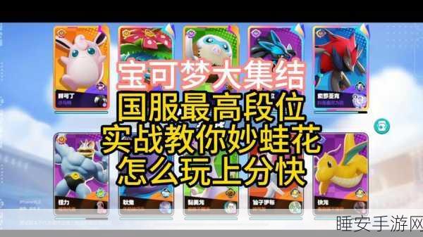 妙蛙花称霸宝可梦大集结,深度战术解析与实战技巧