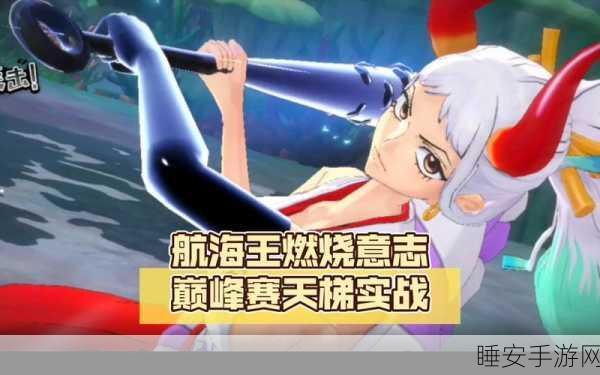航海王燃烧意志,角色晋升全攻略,解锁战斗巅峰新篇章!