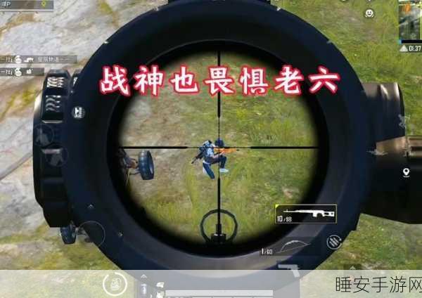 和平精英老六套装购买攻略,解锁游戏内独特魅力