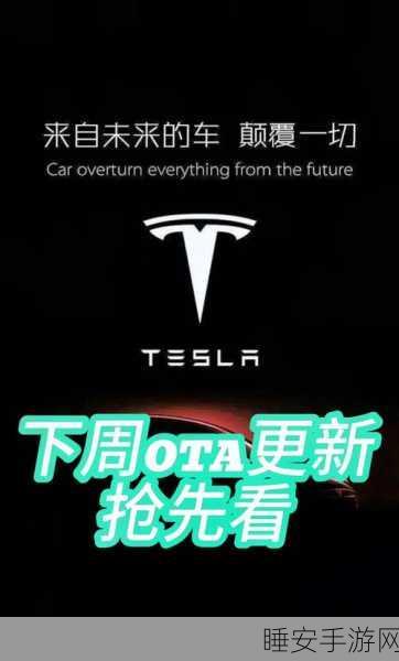 特斯拉OTA新升级,中国车主独享可视化车牌显示,未来出行更炫酷!