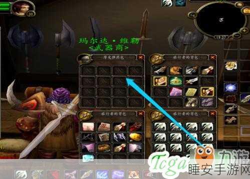 魔兽世界猎人必备,箭袋购买攻略与实战技巧揭秘
