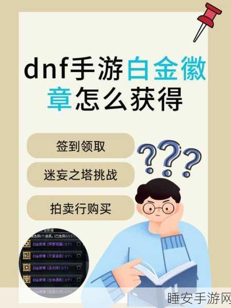 DNF手游攻略,白银徽章的高效运用策略