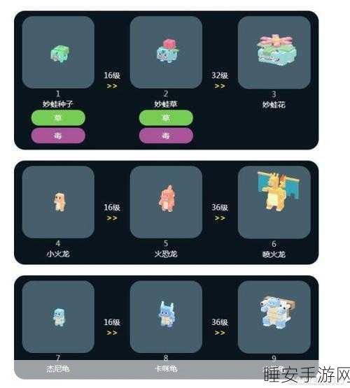 宝可梦大探险深度解析，波波进化全攻略，技能搭配与培养价值