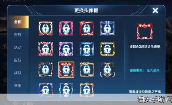 王者荣耀战队币兑换攻略,解锁珍稀道具与专属福利
